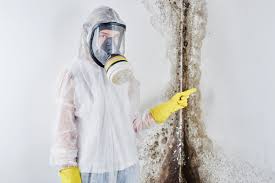 Mold Removal for HVAC Installations in Anadarko, OK